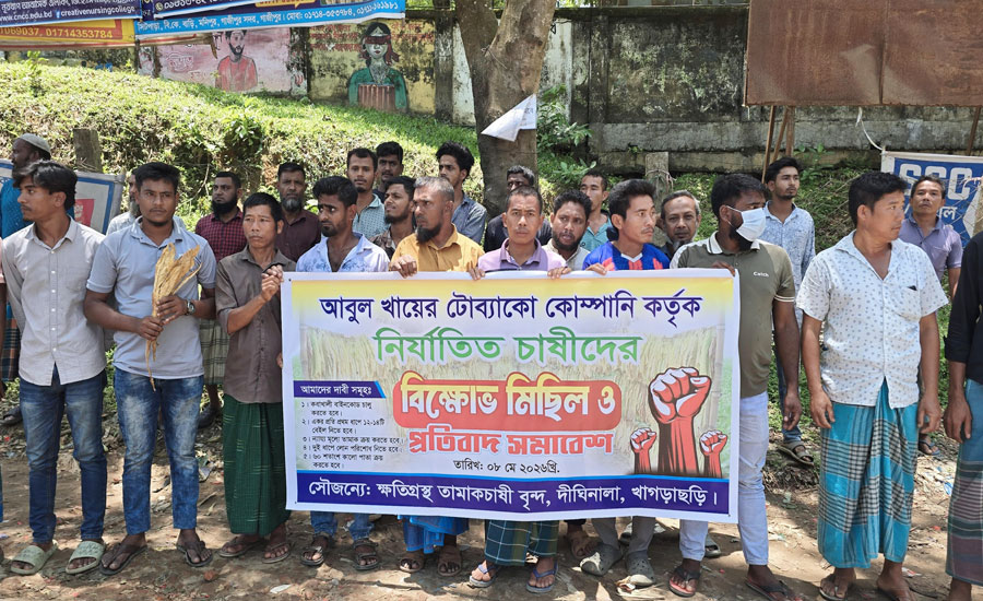 স্বপ্নের তামাক চাষ এখন দুশ্চিন্তার কারণ, চাষীদের বিক্ষোভ