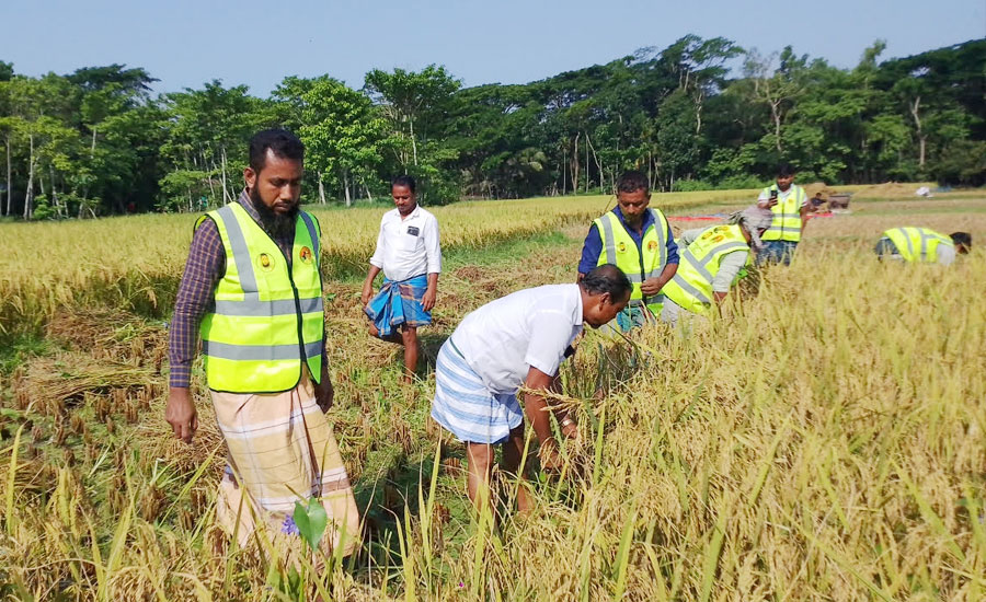 চাঁদপুরে মানবিক দায়বদ্ধতা থেকে কৃষকের পাশে দাঁড়ালেন কেন্দ্রীয় স্বেচ্ছাসেবক নেতা: শাহাদাত হোসেন মারুফ