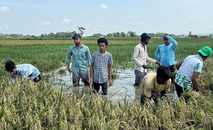 বাঘাইছড়িতে প্রাকৃতিক দুর্যোগে ক্ষতিগ্রস্ত কৃষকের পাশে ছাত্রদল নেতাকর্মীরা 