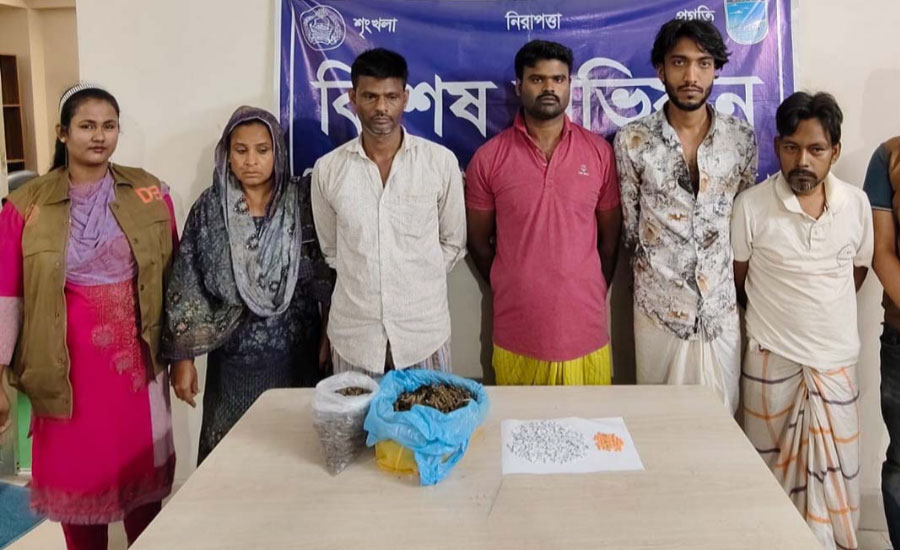 সাভার ও ধামরাইয়ে ডিবির বিশেষ অভিযানে নারী মাদক ব্যবসায়ী সহ ৫ জন গ্রেপ্তার