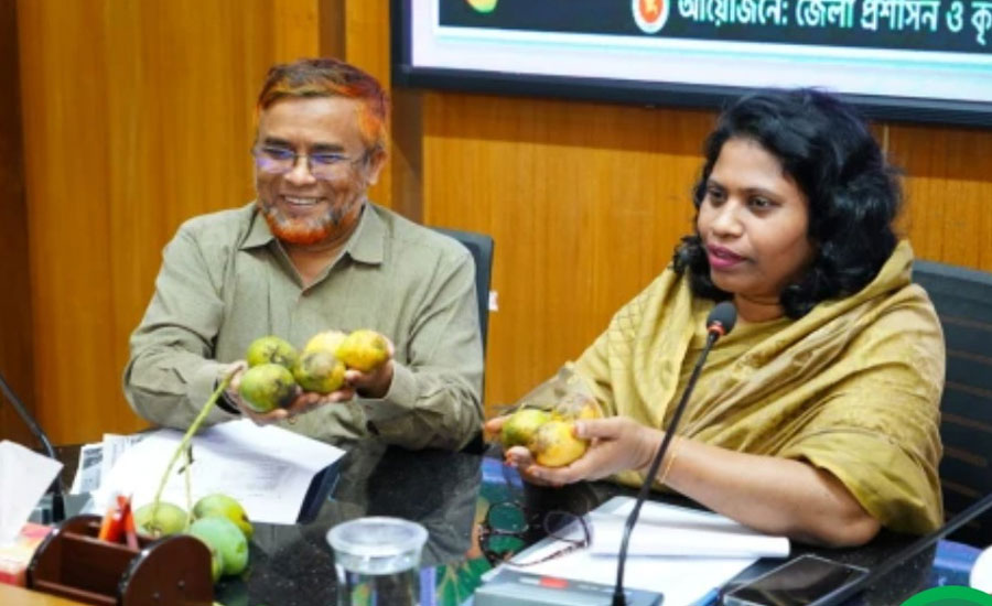 চুয়াডাঙ্গায় ১৩ মে থেকে শুরু হচ্ছে আম সংগ্রহ, চলবে ৩১ জুলাই পর্যন্ত