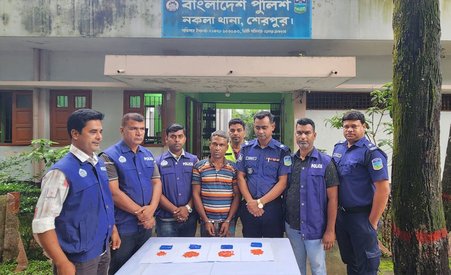 শেরপুরের নকলায় ৬৭৫টি ইয়াবা টেবলেটসহ আটক ১