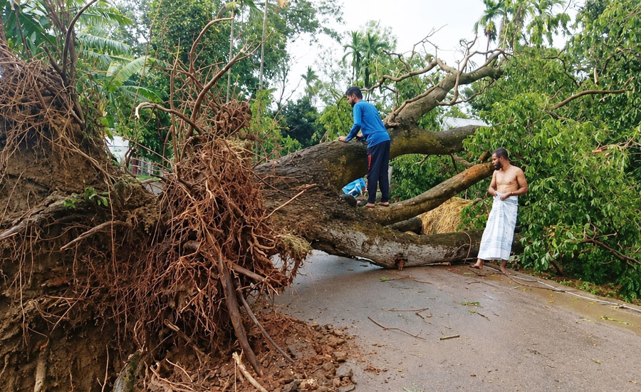 কালবৈশাখীর তাণ্ডবে লণ্ডভণ্ড সরিষাবাড়ী: ঘরবাড়ি ও শিক্ষাপ্রতিষ্ঠানের ব্যাপক ক্ষতি, আহত ৫
