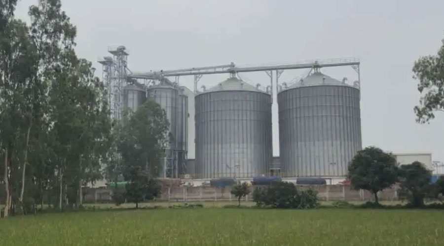 শেরপুরে প্যারাগন ফিডের বর্জ্যে বিপর্যস্ত জনপদ, নষ্ট ধান-মরছে মাছ ও গবাদিপশু