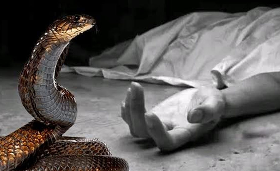নাটোরের লালপুরে সাপের কামড়ে দিনমজুরের মৃত্যু