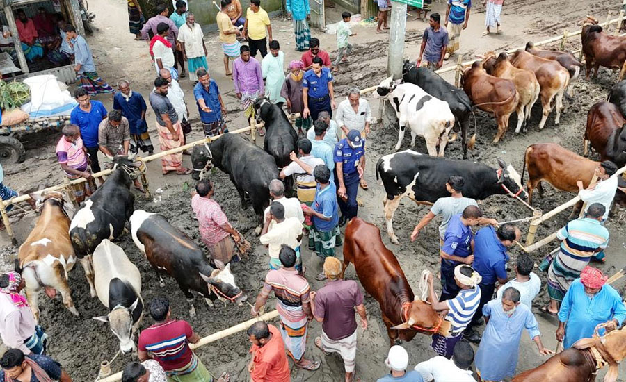 কুড়িগ্রামে ইদুল আযহাকে সামনে রেখে জেলা পুলিশের অপরাধ দমন ও পশুহাটে নিরাপত্তা জোরদার