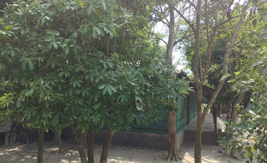 জাজিরার ফৌজউদ্দিন মাদবর কান্দি সরকারি প্রাঃ বিদ্যালয়ে ঔষধি ভেষজ বাগান ও অনন্য উদ্যোগ গ্রহণ