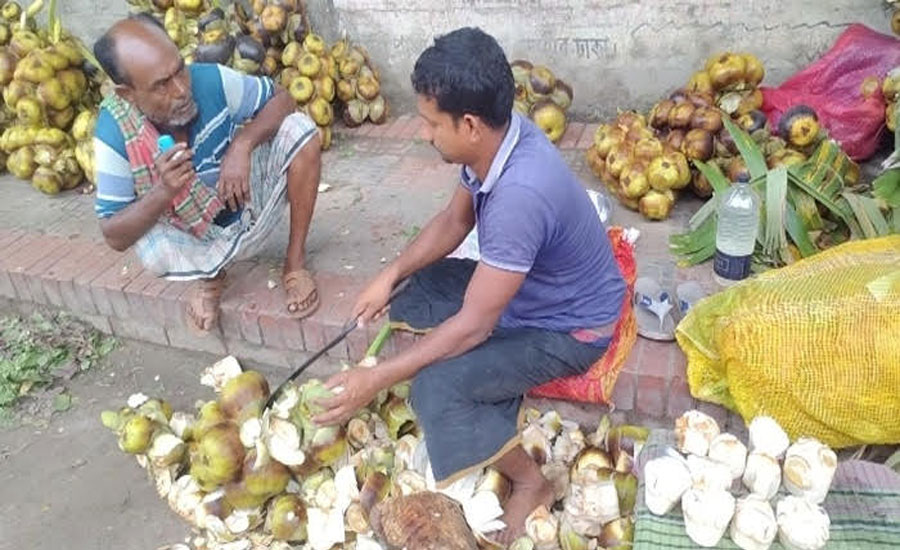 তীব্র গরমে তৃষ্ণা মেটাতে দোহারে তালের শাঁসের ধুম