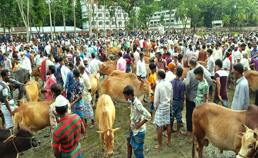 রাজধানীতে কসাইয়ের রেট নিয়ে ভোগান্তি, নির্ধারণ করবে কে