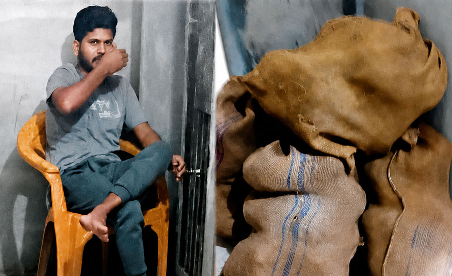 সরিষাবাড়ীতে র‍্যাবের জালে মাদক সম্রাট, উদ্ধার ৬৯ কেজি গাঁজা 