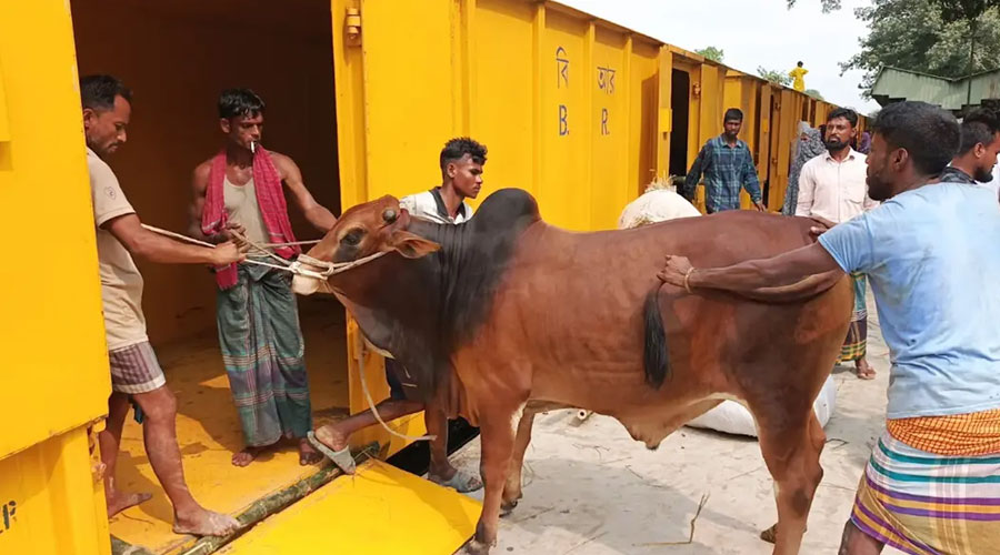 রাজধানীতে কসাইয়ের রেট নিয়ে ভোগান্তি, নির্ধারণ করবে কে
