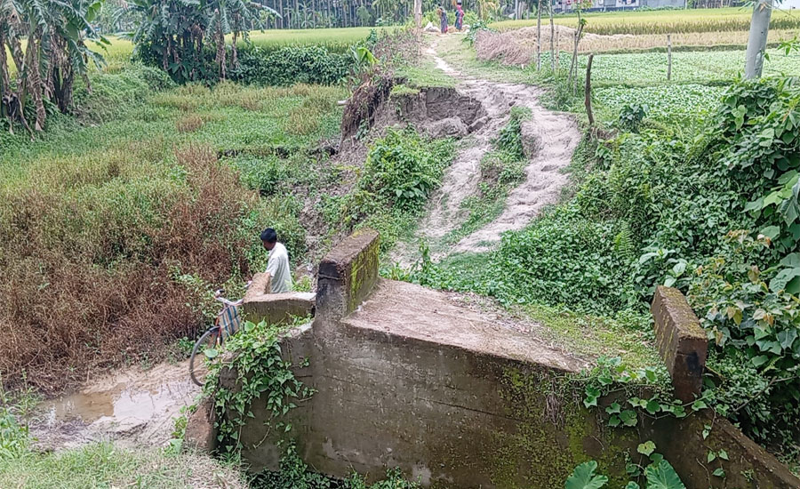 ভূরুঙ্গামারীতে সড়ক ধসে দুর্ভোগে হাজারো মানুষ, ঝুঁকি নিয়ে পারাপার