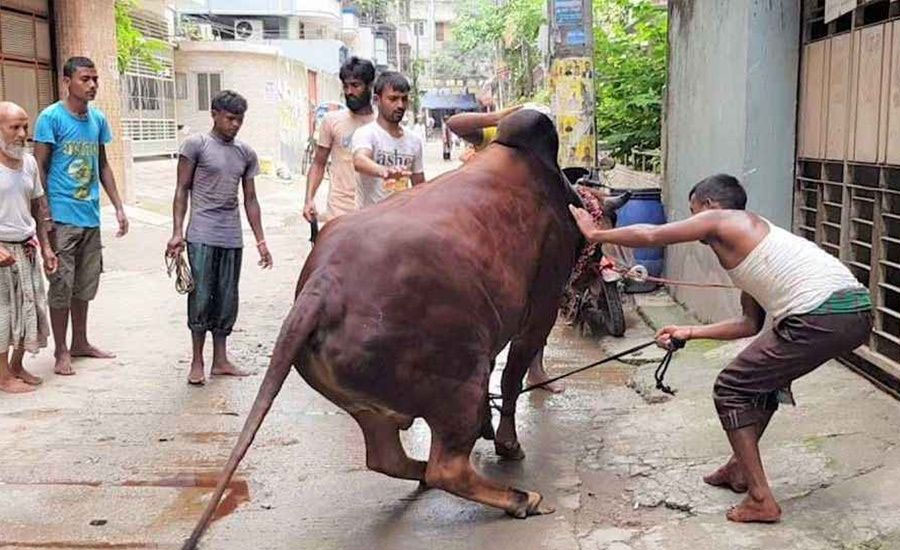 ঈদের দ্বিতীয় দিনেও চলছে পশু কুরবানি