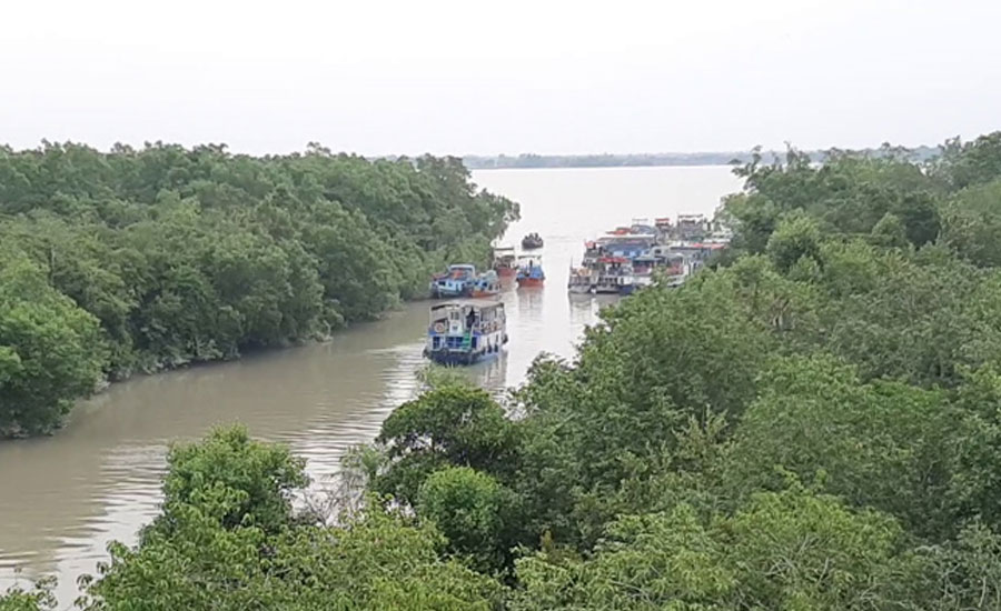 ১ জুন থেকে  আগামী তিন মাস সুন্দরবনে প্রবেশ নিষিদ্ধ করা হয়েছে