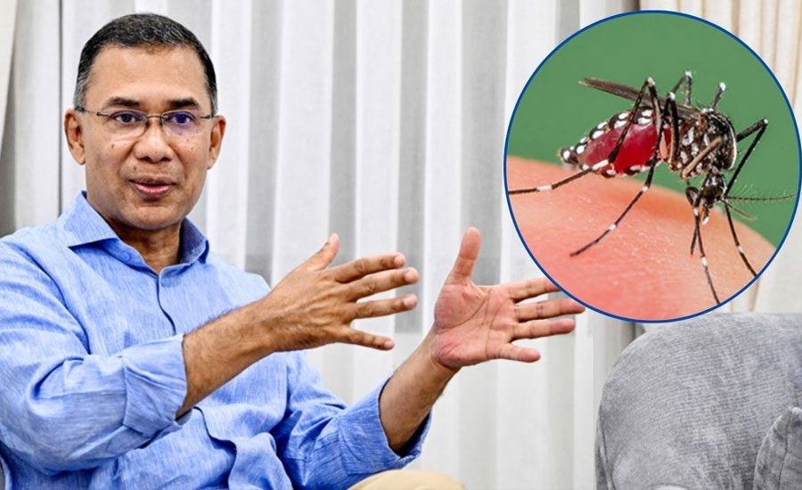 মশা মারা শিখতে যুক্তরাষ্ট্রে নয়, ডোবার পাশে বসতে বললেন প্রধানমন্ত্রী