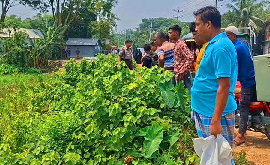 নরসিংদীর শিবপুরে ধান ক্ষেত থেকে নবজাতকের মরদেহ উদ্ধার