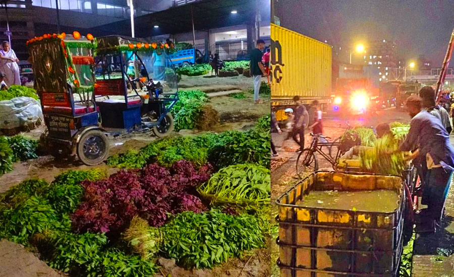 জীবাণু যেভাবে যাচ্ছে খাবার টেবিলে