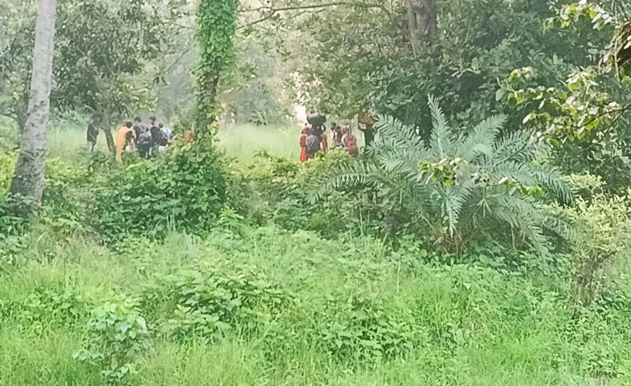 গোমস্তাপুর সীমান্তে ২৮ বাংলাদেশিকে পুশ-ইনের চেষ্টা: বিজিবির কড়া নজরদারি, ব্যর্থ বিএসএফ