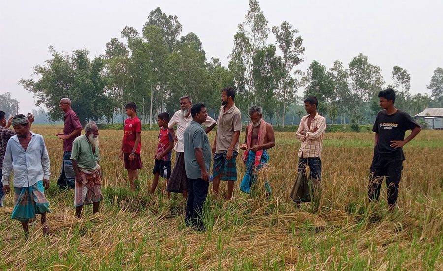 জামিনে মুক্ত হয়েই বাদী পক্ষকে প্রাণনাশের হুমকির অভিযোগ, সরিষাবাড়ীতে উত্তেজনা