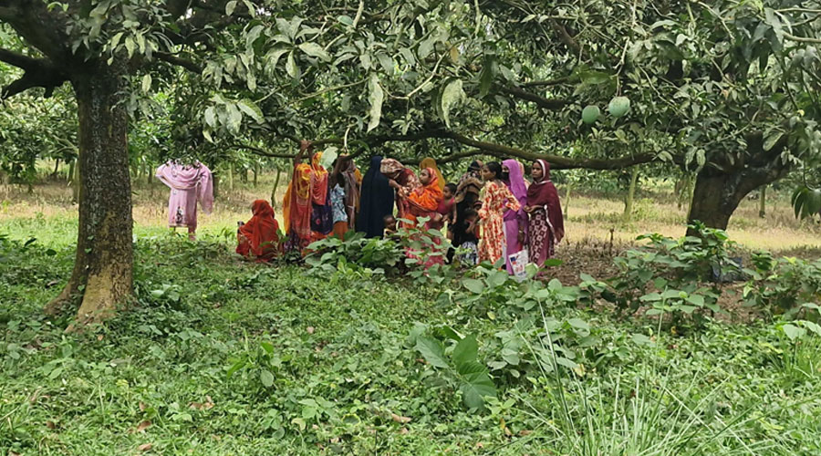 চাঁপাইনবাবগঞ্জ সীমান্তে শূন্যরেখা থেকে ২৮ জনকে ফিরিয়ে নিল বিএসএফ