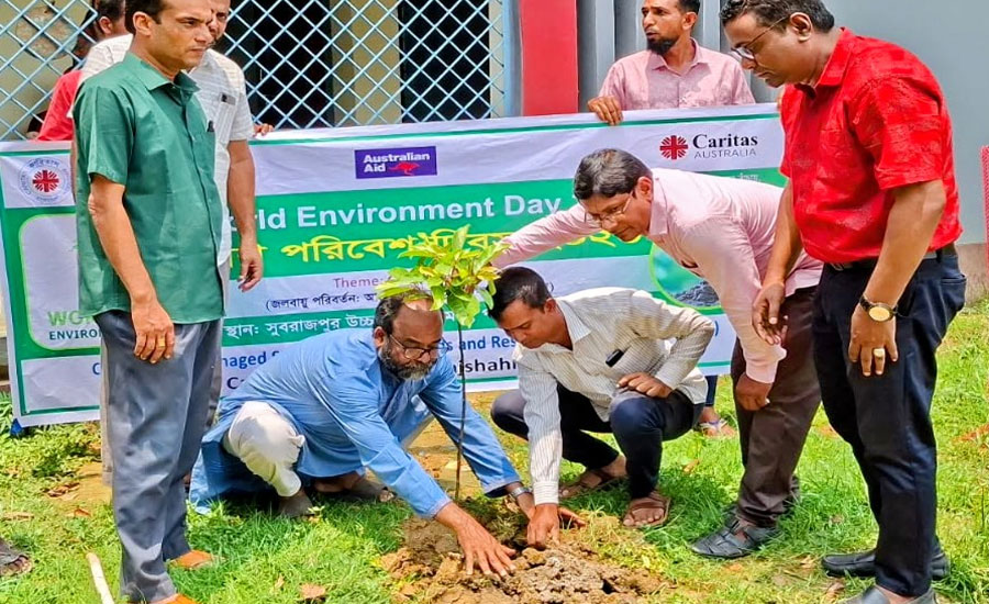পত্নীতলায় বৃক্ষ রোপণ ও গাছের চারা বিতরণ  