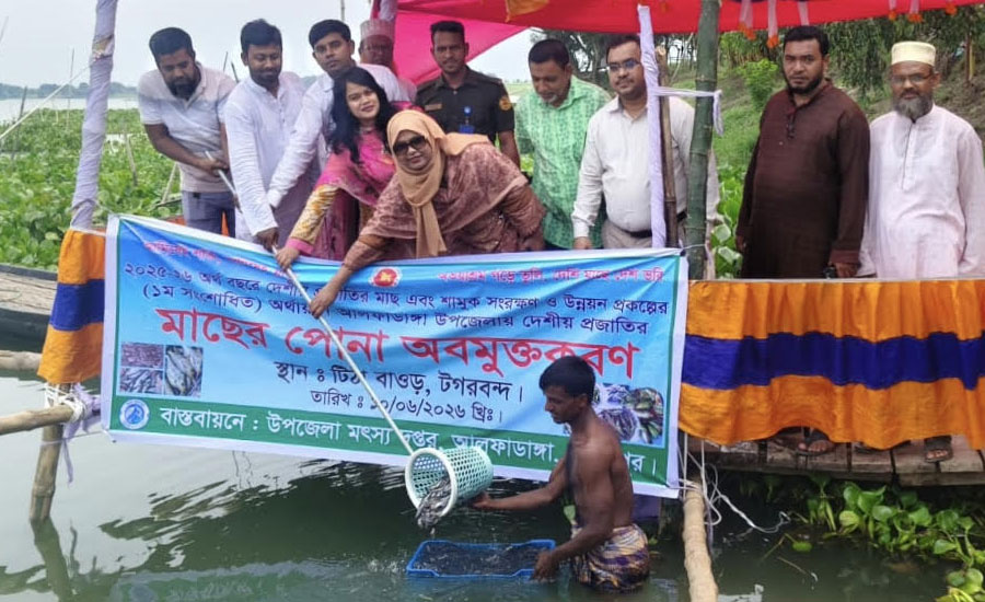 আলফাডাঙ্গায় টিঠা বাওড়ে দেশীয় মাছের পোনা অবমুক্তকরণ