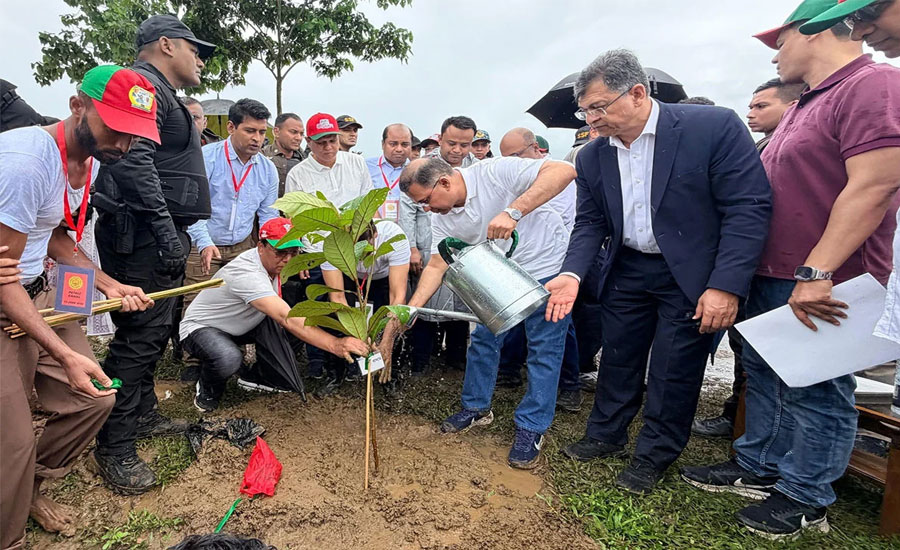 দেশব্যাপী ২৫ কোটি বৃক্ষরোপণ কর্মসূচির উদ্বোধন করলেন প্রধানমন্ত্রী