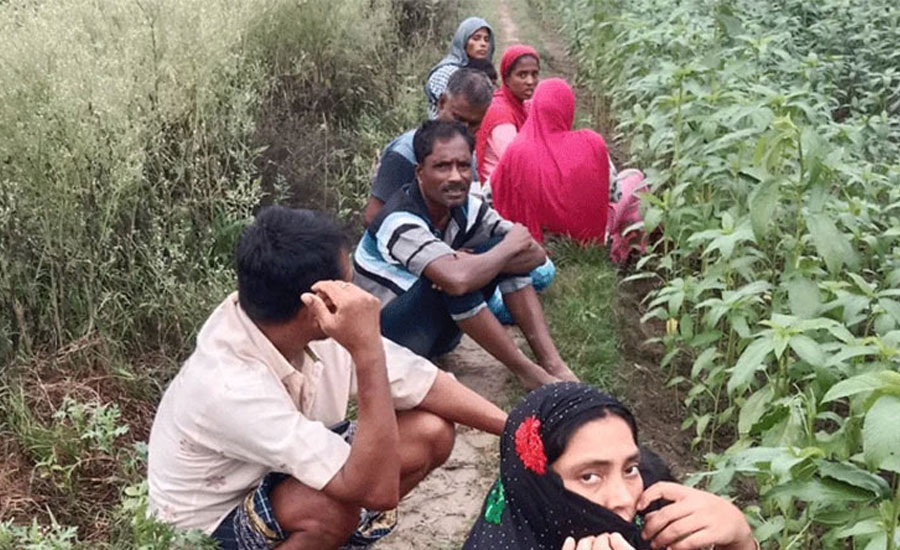 কুষ্টিয়া সীমান্ত: শূন্যরেখায় রাত কাটল ঠেলে দেওয়া ১২ জনের