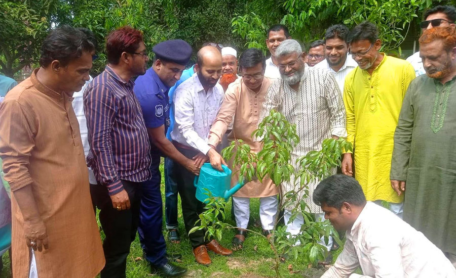 মাদারগঞ্জ উপজেলা প্রশাসনের উদ্যোগে বৃক্ষরোপণ কর্মসূচি শুরু