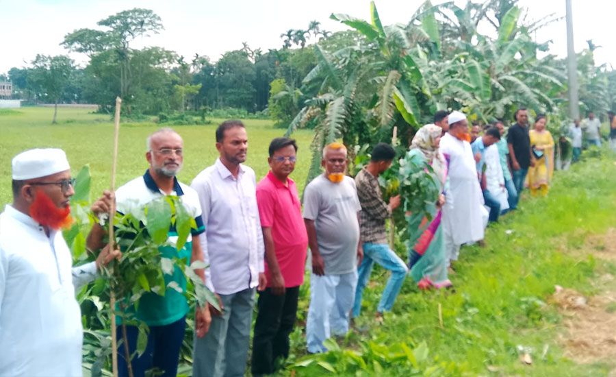 জেলা পরিষদের উদ্যোগে কিশোরগঞ্জের হোসেনপুরে বৃক্ষরোপন কর্মসূচি 