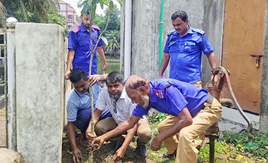 চাঁদপুর সদর উপজেলার চান্দ্রা ইউনিয়ন পরিষদে বৃক্ষরোপণ কর্মসূচি অনুষ্ঠিত