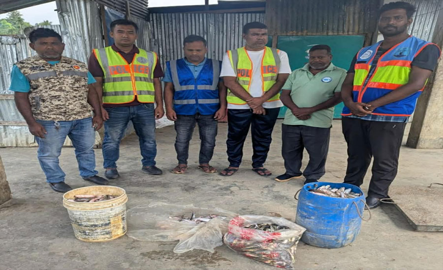 বাঘাইছড়িতে অভিযানে ৪৬ কেজি অবৈধ মাছ জব্দ, নিলামে বিক্রিয়