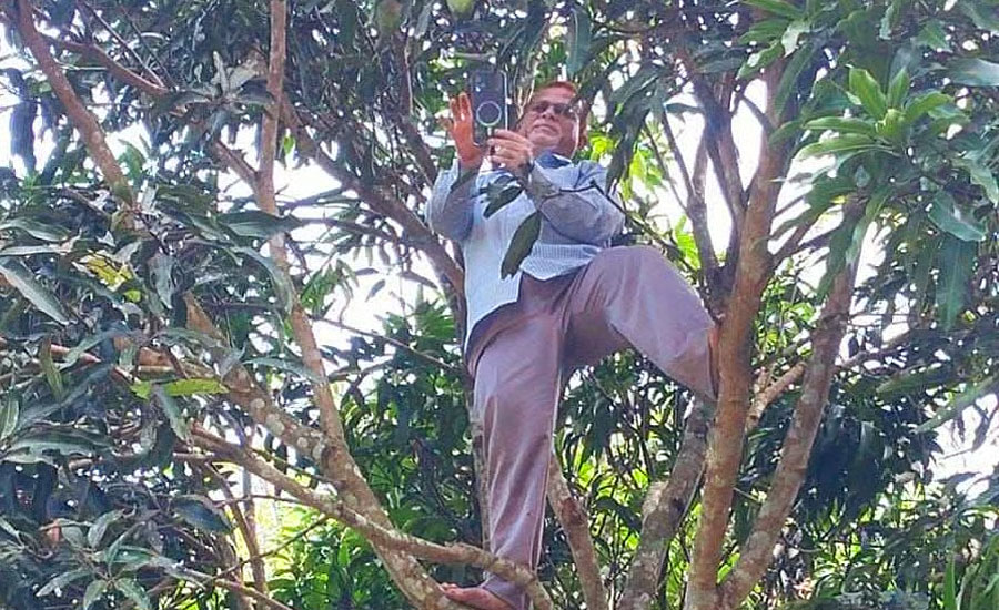 ‎আমগাছে উঠে অনলাইনে হাজিরা দিলেন প্রধান শিক্ষক
