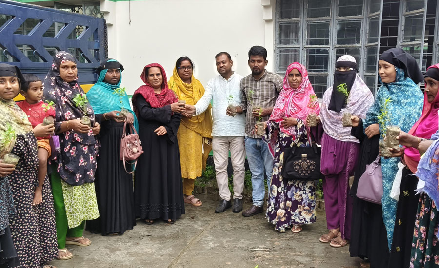 ব্র্যাক মাইক্রোফাইন্যান্স কর্মসূচীর আওতায় প্রান্তিক পর্যায়ে কৃষকদের মাঝে বিনামূল্যে স্টেভিয়ার চারা  বিতরণ