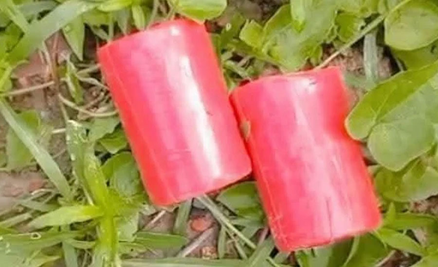 সাতক্ষীরার কালিগঞ্জে বিএনপি অফিসে আগুন, দুটি ককটেল উদ্ধার