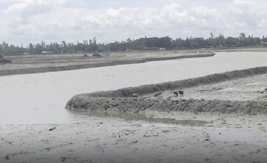 কুতুবদিয়ায় দখল ও ভরাটে অস্তিত্ব বিপন্নের পথে ৪ খাল