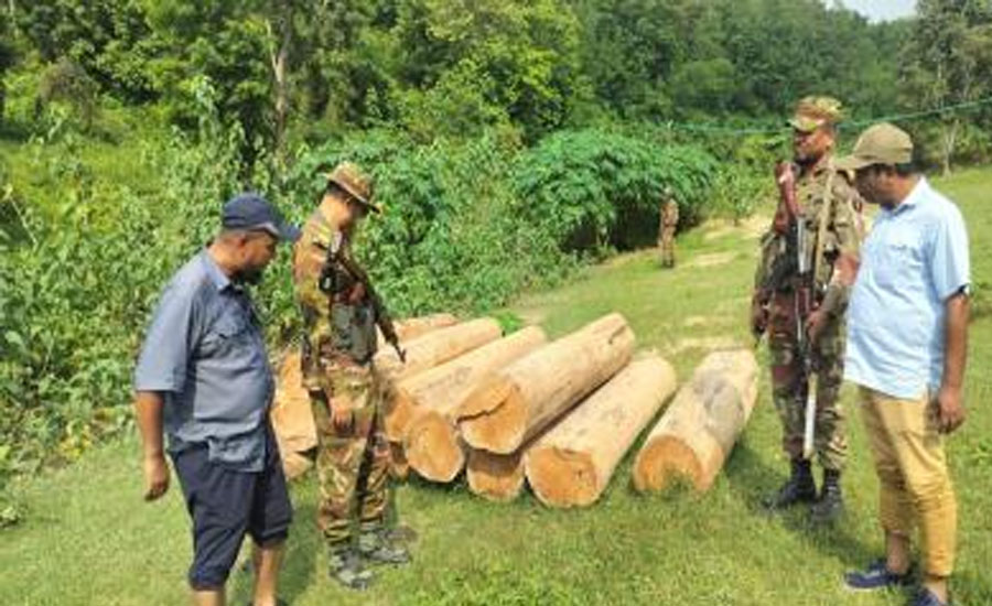 জুরাছড়িতে সেনাবাহিনীর বিশেষ অভিযানে ৯০ লক্ষ টাকার অবৈধ কাঠ জব্দ 