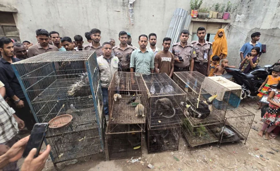 যেভাবে গ্রেপ্তার হলেন বন্যপ্রাণী চোরাকারবারি হাদিস, খোঁজ মিলল তার গোডাউনের