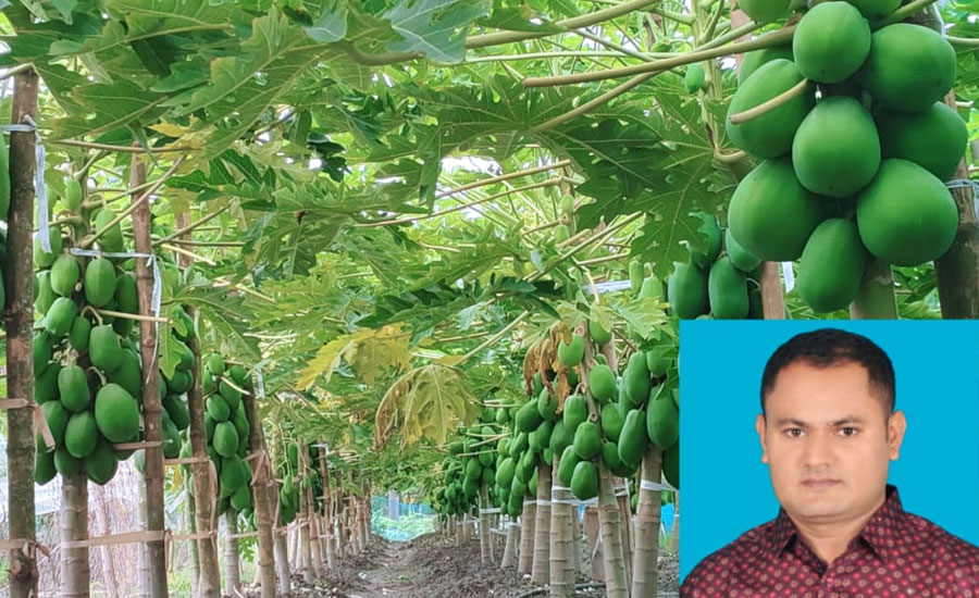 ভান্ডারিয়া তরুণ উদ্যোক্তা সুমন  সমন্বিত কৃষিতে সফলতার দৃষ্টান্ত, বছরে ১৫ লাখ টাকা আয়  