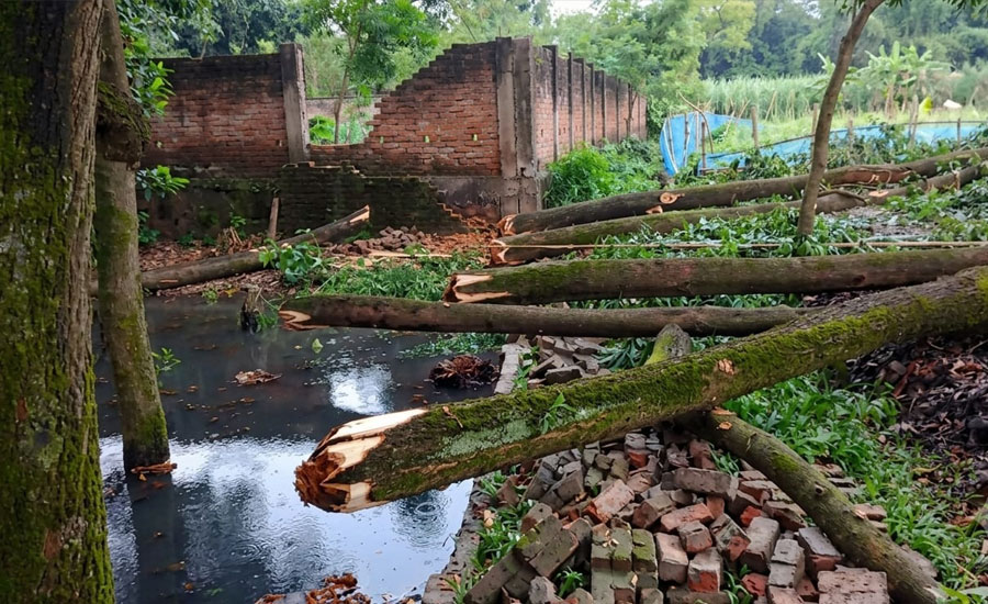 গাজীপুরে সাংবাদিক পরিবারের পৈতৃক জমির গাছ কেটে নেওয়ার অভিযোগ, থানায় লিখিত অভিযোগ
