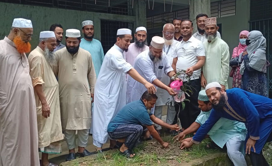 জাতীয় বৃক্ষরোপণ ও জলবায়ু কর্মসূচি উপলক্ষে নাঙ্গলকোট কামিল মাদ্রাসায় বৃক্ষরোপণ অভিযান পালিত 