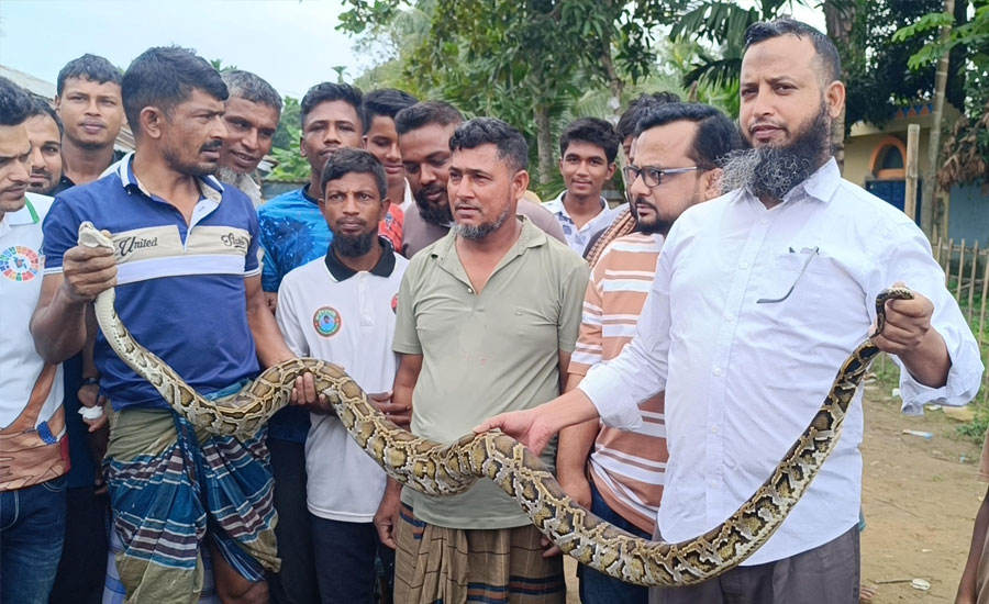 মাছ ধরার জালে আটকা ৮ ফুটের অজগর