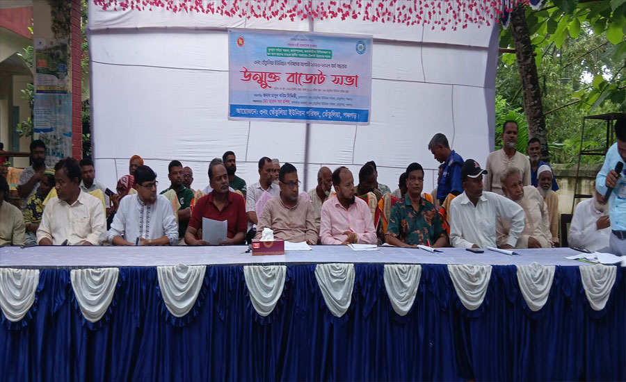 তেঁতুলিয়া সদর  ইউনিয়ন পরিষদের উন্মুক্ত বাজেট ঘোষণা