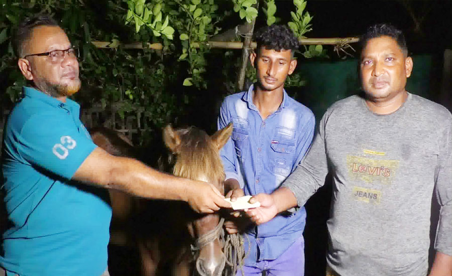 অন্ধ ঘোড়ার দেখভাল করা কলেজছাত্র সোহানের পাশে প্রধানমন্ত্রী তারেক রহমান