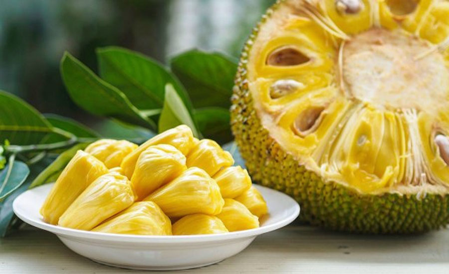 আজ কাঁঠাল দিবস, জাতীয় ফল নিয়ে আপনার অবস্থান কী? 