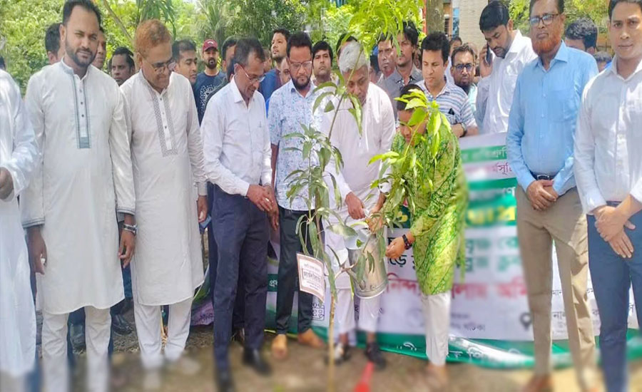 যশোরে সোনালী ব্যাংকের বৃক্ষরোপণ কর্মসূচির উদ্বোধন করলেন প্রতিমন্ত্রী অনিন্দ্য ইসলাম অমিত