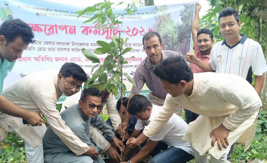 নাটোরে নলডাঙ্গায় বৃক্ষরোপণ কর্মসূচির উদ্বোধন