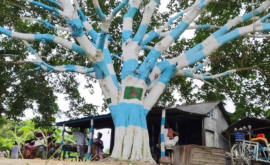 যমুনার চরে আর্জেন্টিনা বটগাছ 