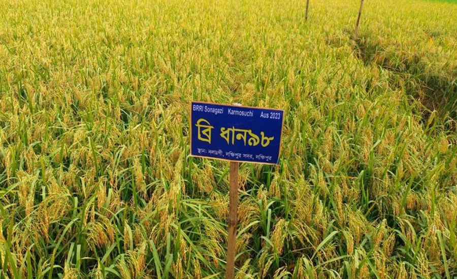 ফুলবাড়ীয়ায় কৃষি প্রণোদনা বিতরণে অনিয়মের অভিযোগ, উপকারভোগীর তালিকা নিয়েও প্রশ্ন