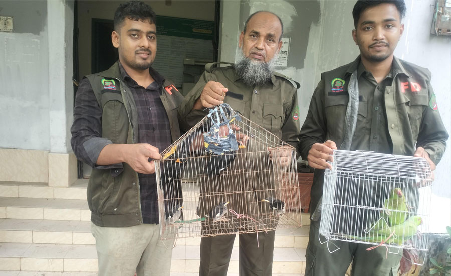 সাতক্ষীরা বন বিভাগের অভিযানে ময়না,টিয়া ও শালিক পাখি জব্দ